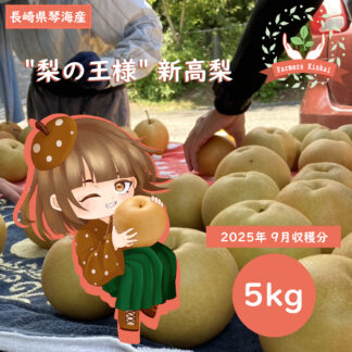 長崎琴海産 2025年度九月収穫分 新高梨 5kg